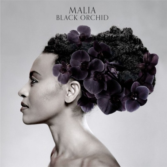 Malia Black Orchid