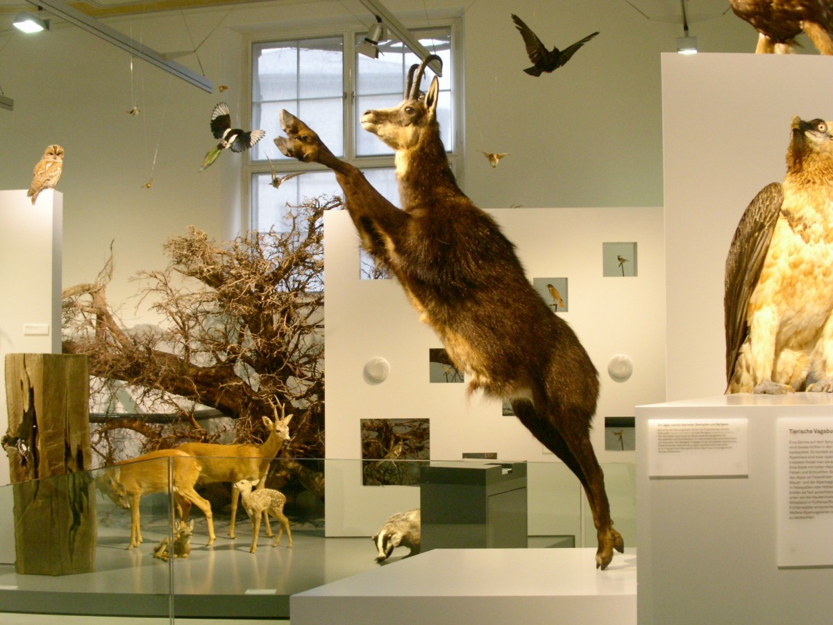 Naturmuseum Winterthur