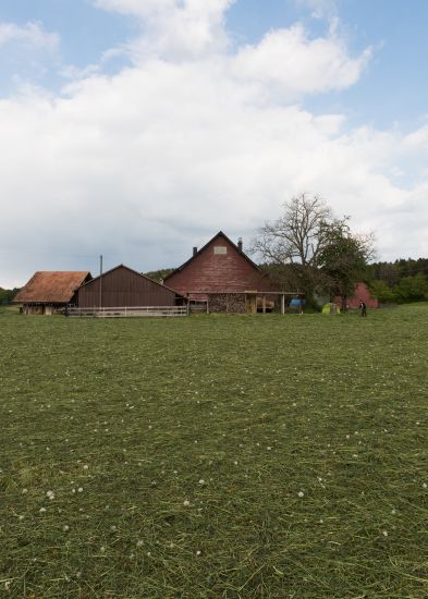 Daheim auf dem Bettlihof