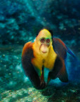 Bild auf Bild §50 Bild auf Bild §50