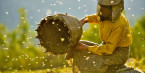 Honeyland (MK 2019) Honeyland (MK 2019)