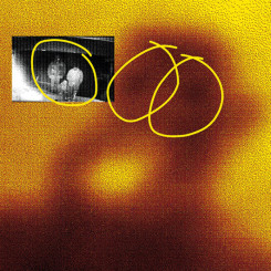 Album: Dance or Dye Album: Dance or Dye