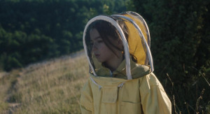 20'000 especies de abejas