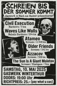 Schreien bis der Sommer kommt: Diy Hardcore Screamo Punk Festli - Wave Like Walls (DE) // Atameo // Azzacov (DE) // The Sun Is A Giant Molotov (CH) + More