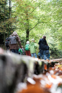 Auf den Spuren unserer Stadtwildtiere - Exkursion