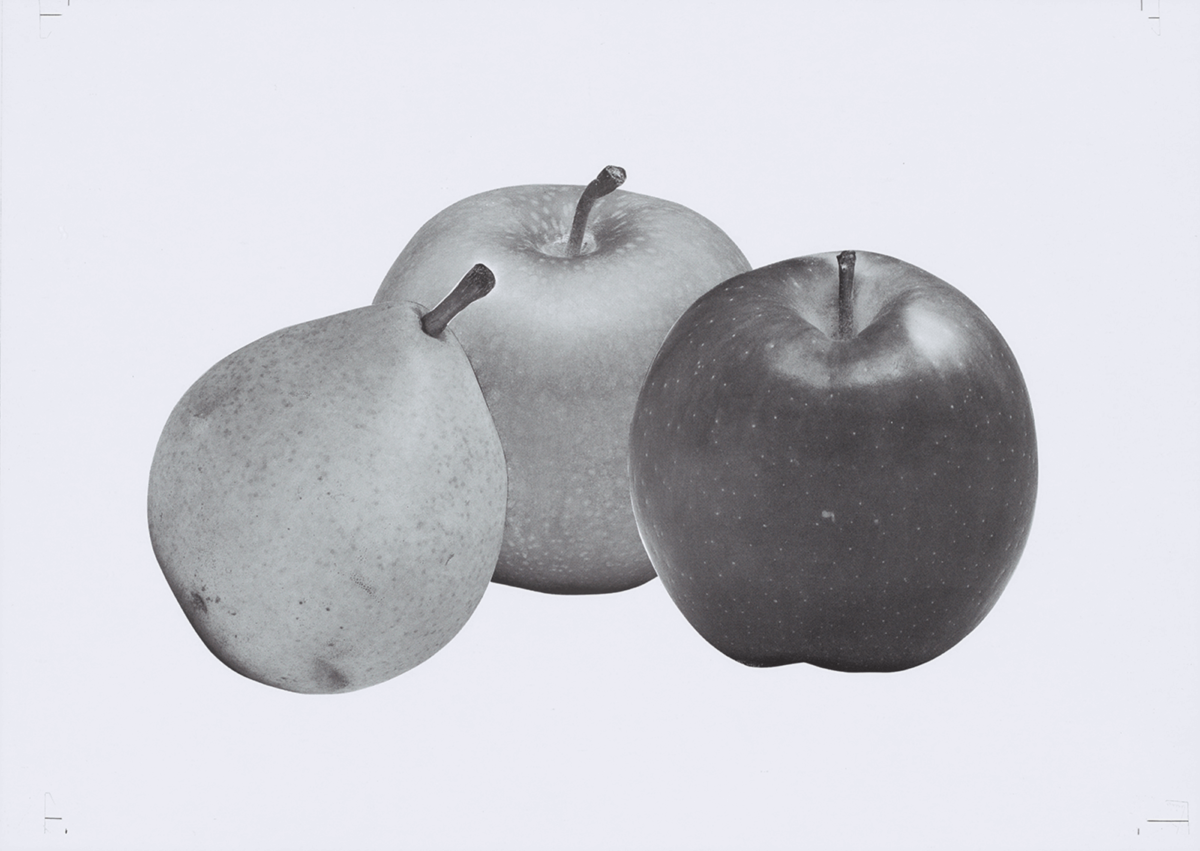 Guadalupe Ruiz, Äpfel und Birnen, Composition III, Aus der Serie «Äpfel und Birnen», 2015 © Guadalupe Ruiz