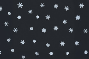 Schneeflockenreise Schneeflockenreise