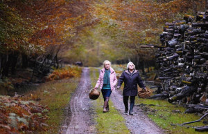 Quand vient l&amp;amp;amp;amp;amp;amp;amp;amp;amp;amp;amp;amp;amp;amp;amp;amp;amp;amp;amp;amp;amp;amp;amp;amp;amp;amp;amp;amp;amp;amp;amp;#039;automne