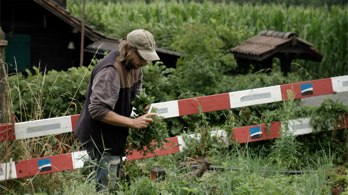 Der Geschmack der Dinge Der Geschmack der Dinge