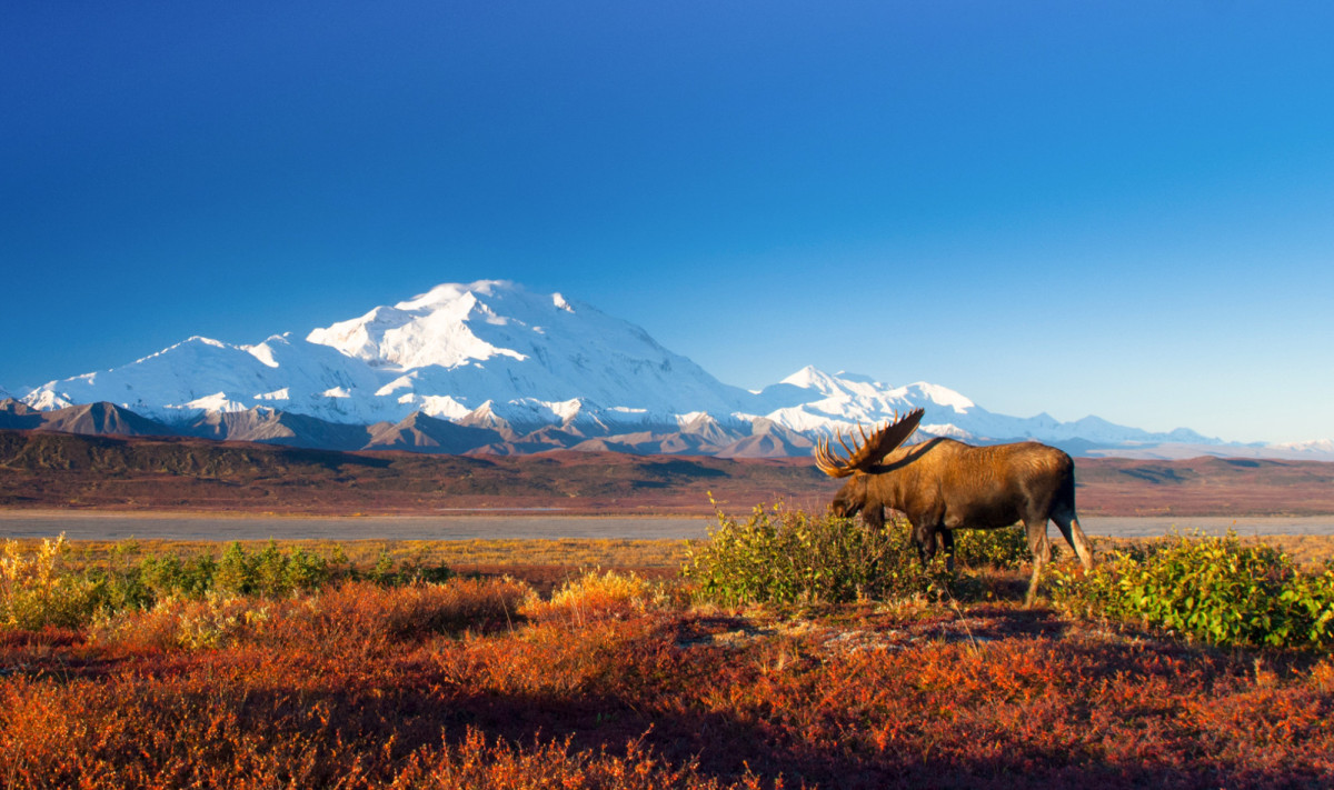 Explora: Alaska – Wildes Land