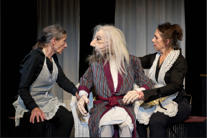 Auf Bäume Klettern Auf Bäume Klettern