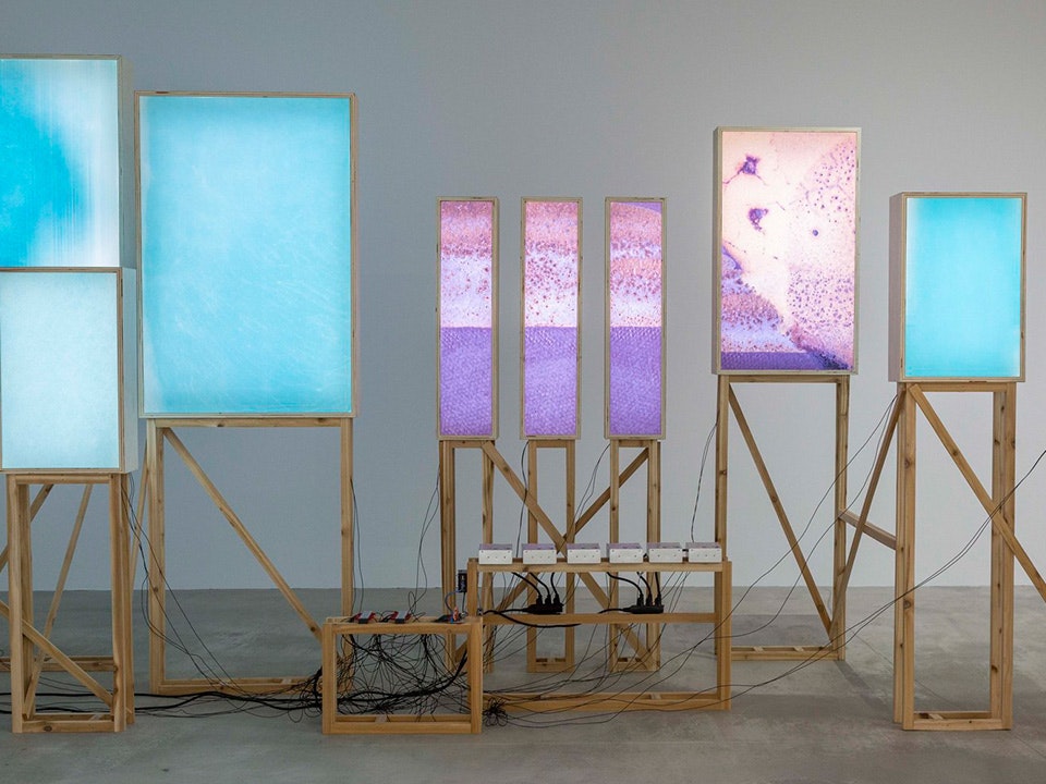 Führung: (Mit)einander – Kara Springer und die Sammlung des Fotomuseum Winterthur