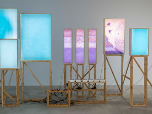 Führung: (Mit)einander – Kara Springer und die Sammlung des Fotomuseum Winterthur Führung: (Mit)einander – Kara Springer und die Sammlung des Fotomuseum Winterthur