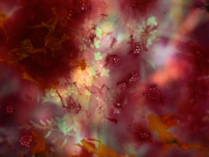 Industry Screening: Internationaler Wettbewerb III: Secrets I Can’t Keep