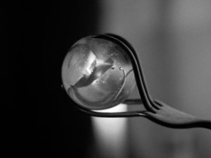 Internationaler Wettbewerb V: The World Is a Vampire