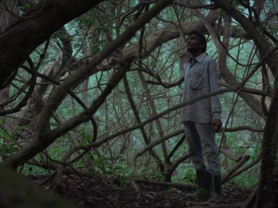 Myths Reimagined Myths Reimagined