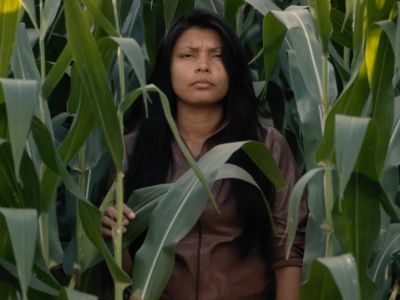 The Present of Speculative Bodies The Present of Speculative Bodies