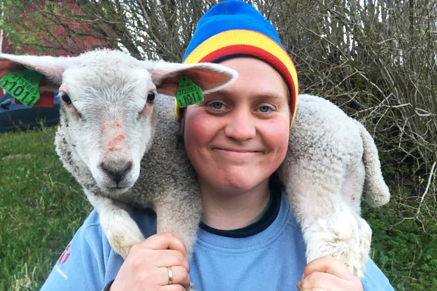 Woolly – Schaf Dir das Glück