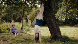 In die Sonne schauen (Sound of Falling)