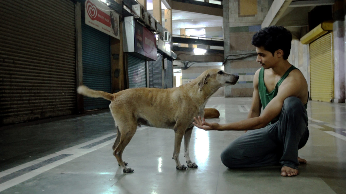 Call Me Dancer Call Me Dancer