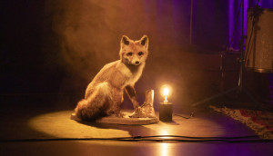 Molton-Abschieds-Festival Molton-Abschieds-Festival