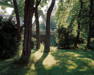 TruePicture: Julius Schien - Rechtes Land