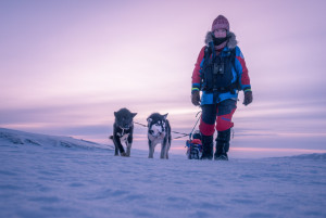 Grönland – Ruf der Stille