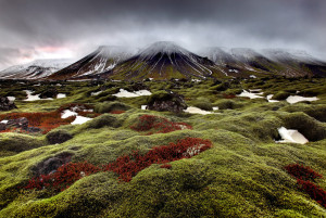 Wunderwerk Natur – wie wir unseren Planeten retten