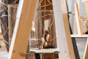 Eichhörnchen - Familiensonntag