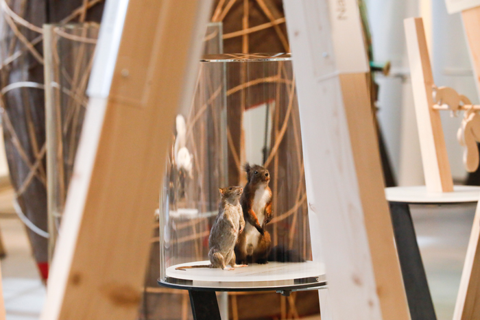 Eichhörnchen - Familiensonntag