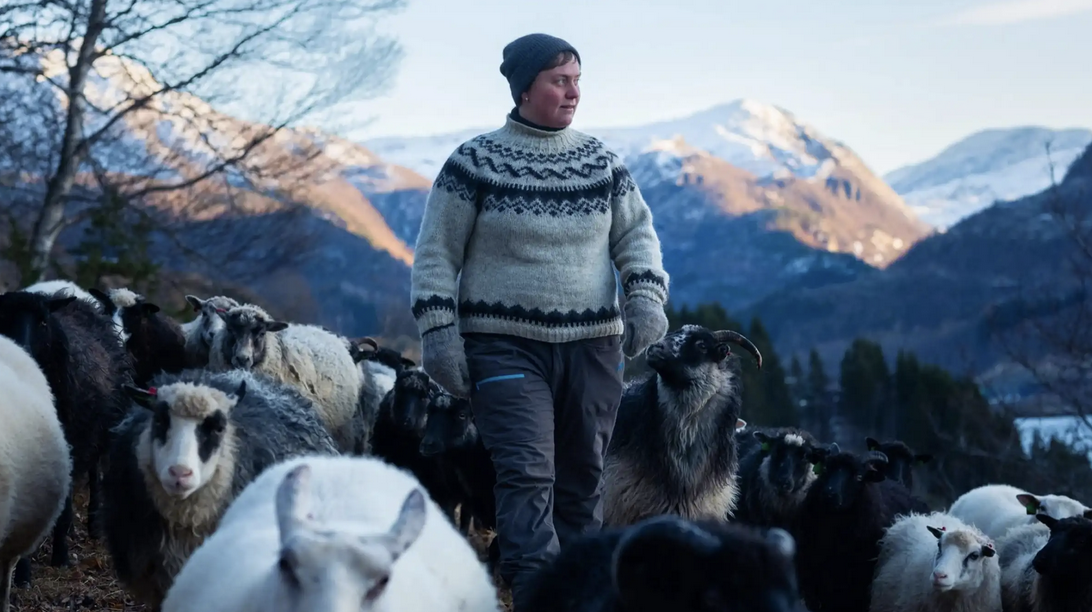 Ausverkauft! – Woolly – Schaf Dir das Glück