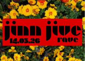 Jinn Jive in der Labüsch Bar