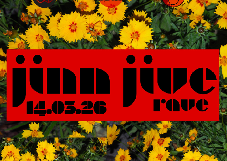 Jinn Jive in der Labüsch Bar