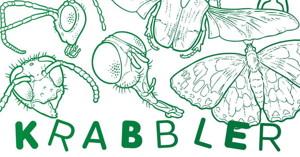 Eröffnung Ausstellung - Krabbler Eröffnung Ausstellung - Krabbler