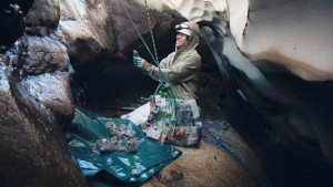 Im Bann der Quarzkristalle